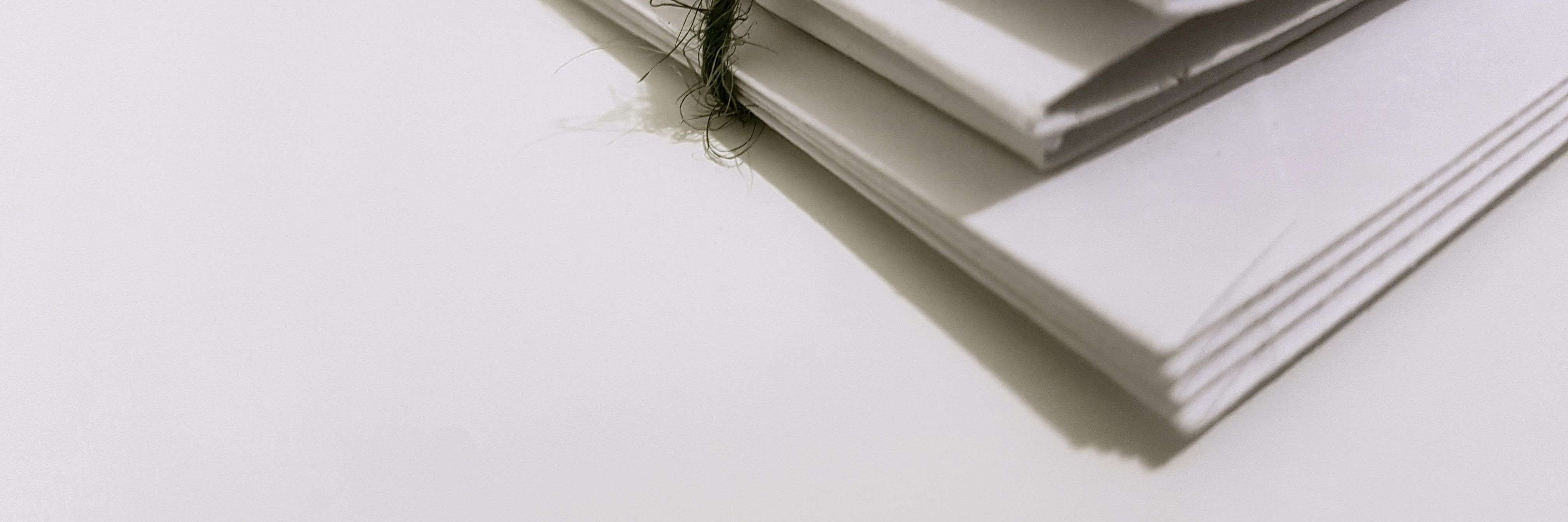 Pexels Samjjohnson 1764956